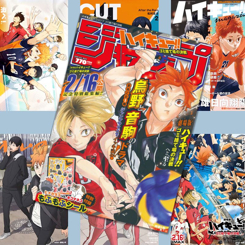 Haikyuu!! poster, anime-style  - đánh giá và giá Anime Merchandise Haikyuu